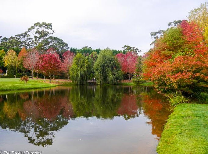 Southern Highlands Botanic Gardens, Bowral, Australia, Australia